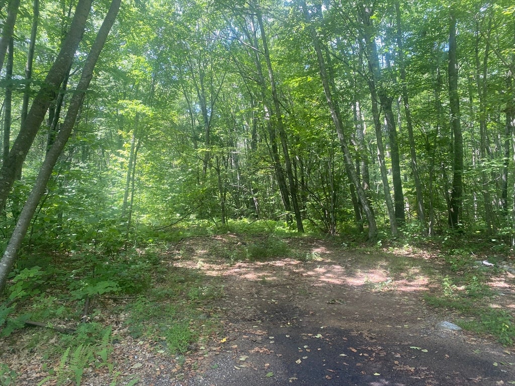 Tract 7 Delargy Rd