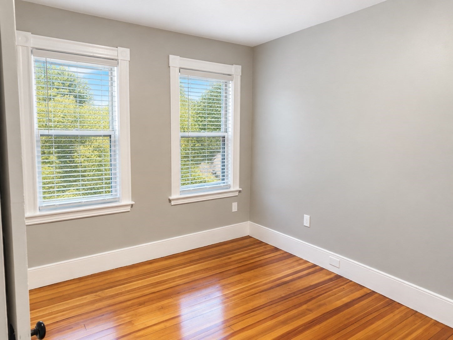 22 Morton St #A, Waltham, MA Photo #5