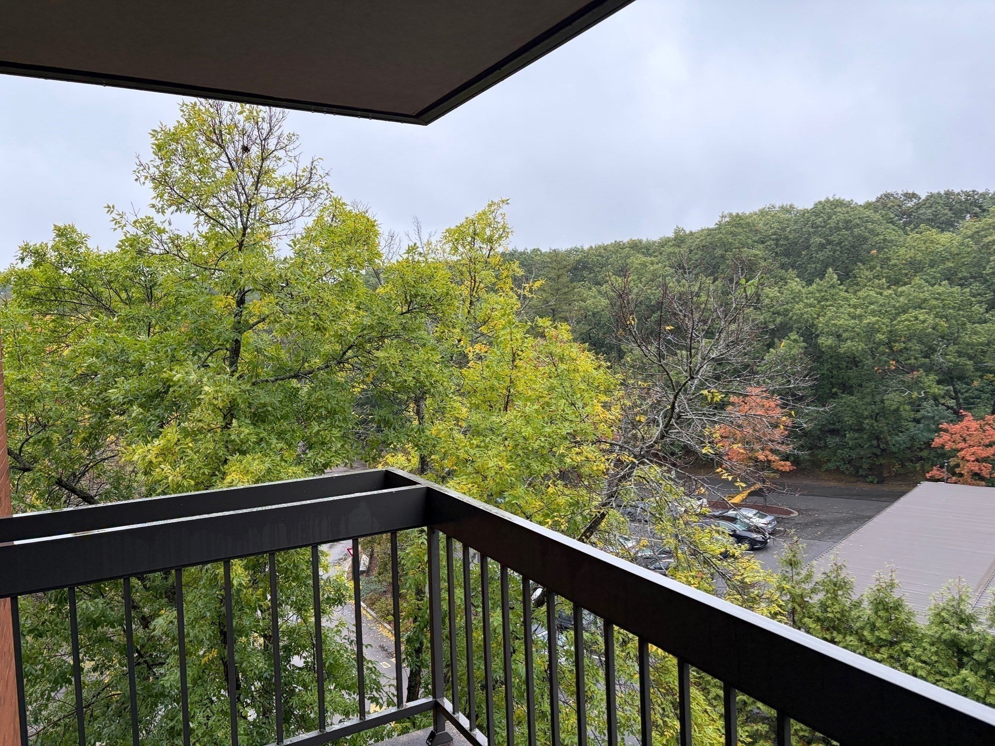 210 Nahanton St #422, Newton, MA, 210 Nahanton St #422, Newton, MA Photo #11