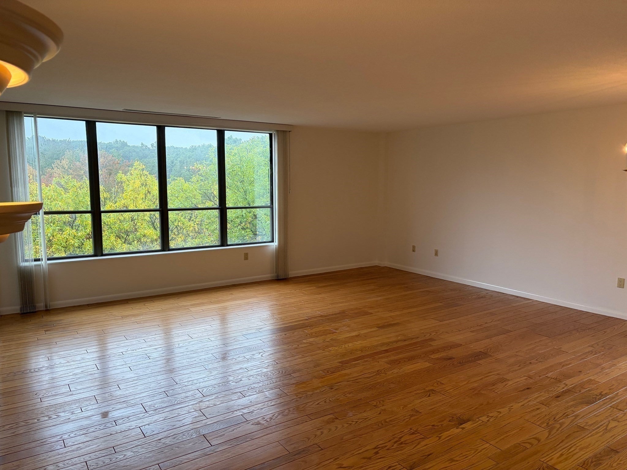 210 Nahanton St #422, Newton, MA, 210 Nahanton St #422, Newton, MA Photo #10