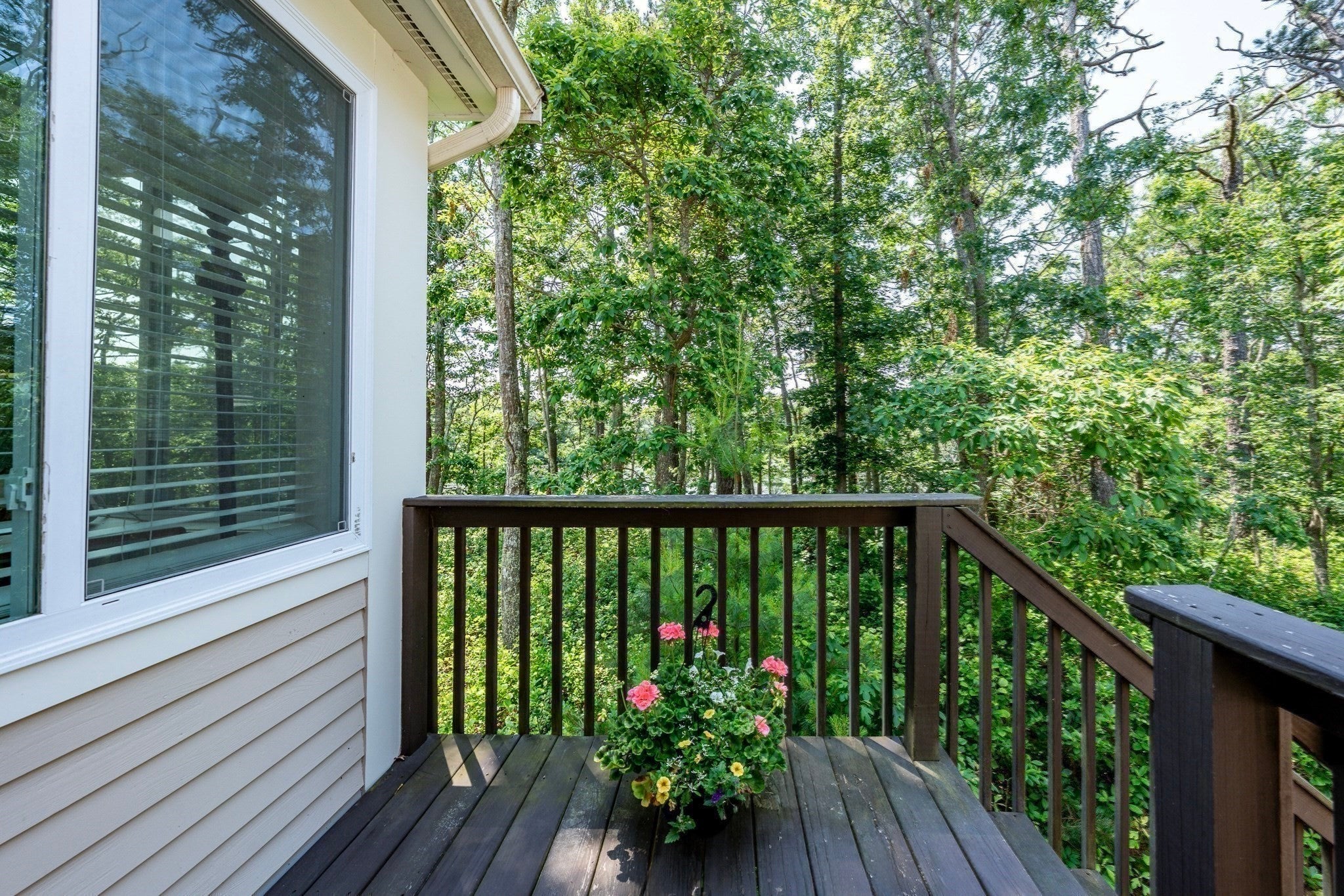 14 Stony Brook Dr 516