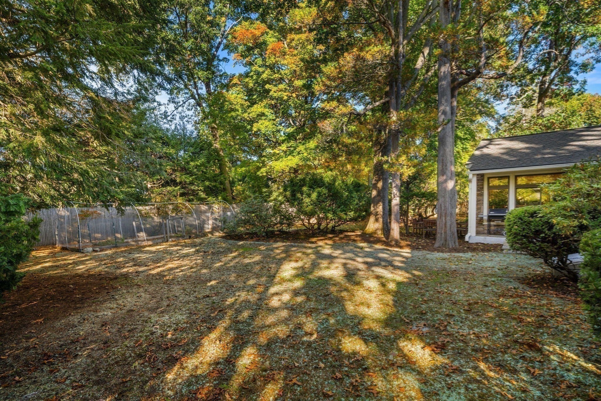 1611 Commonwealth Ave, Newton, MA, 1611 Commonwealth Ave, Newton, MA Photo #41