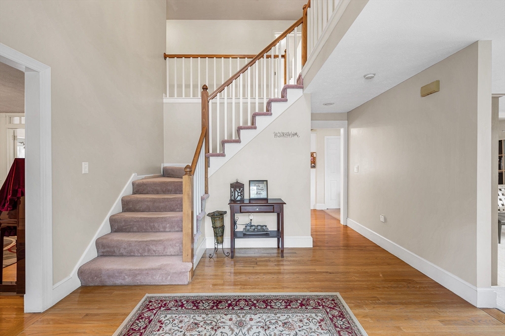 3 Indian Fern Dr