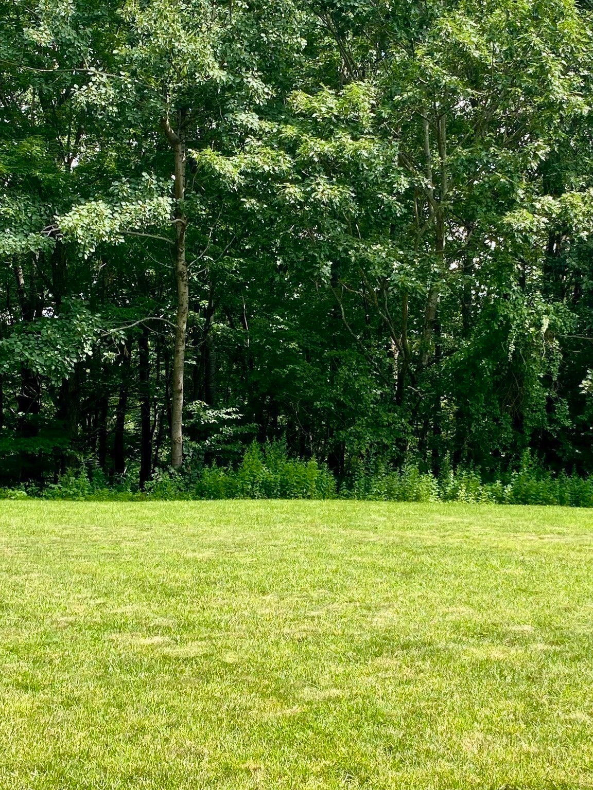 543 Jones Hill Rd, Ashby, MA, 543 Jones Hill Rd, Ashby, MA Photo #38
