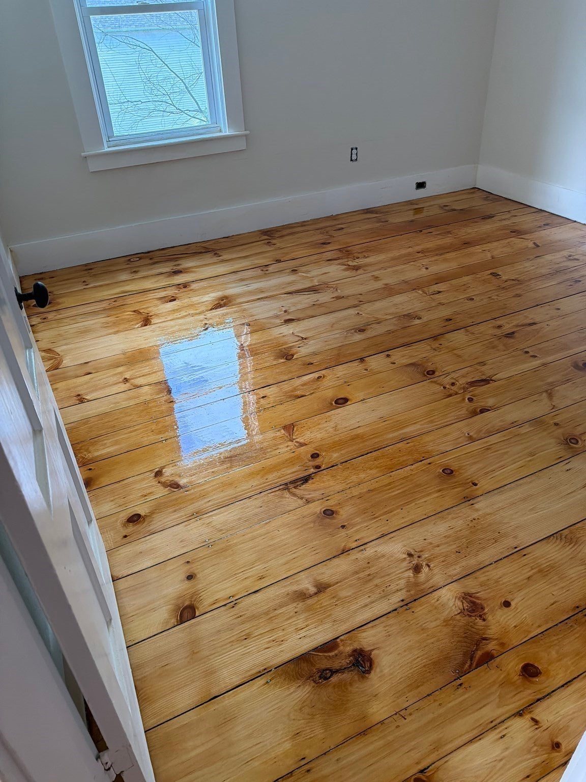 22 Goldsmith Street #4, Littleton, MA Photo #5