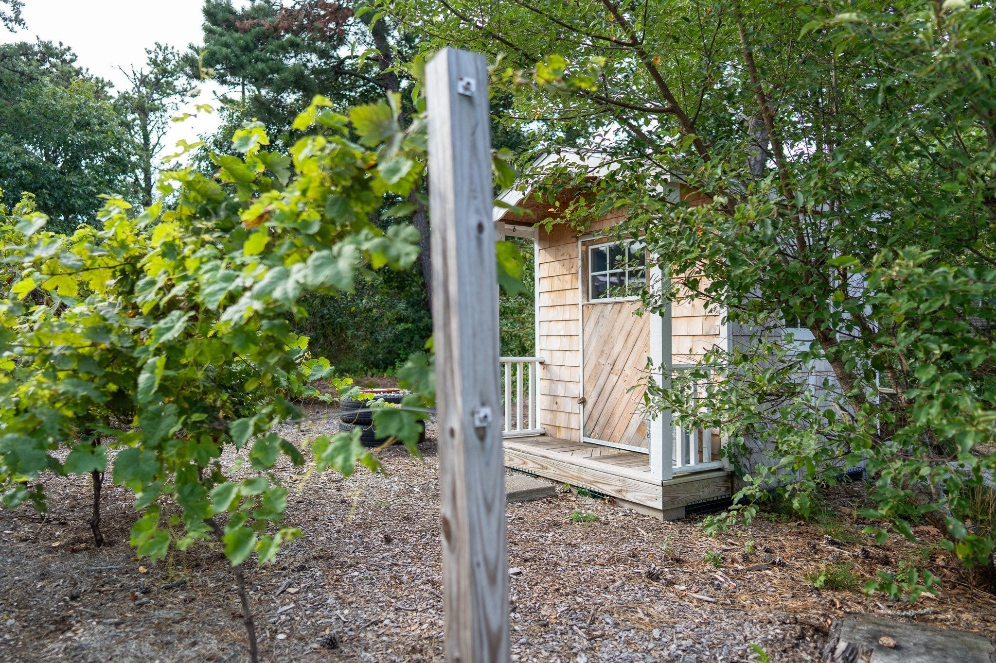 85 Jennie Clark Rd, Eastham, MA, 85 Jennie Clark Rd, Eastham, MA Photo #7