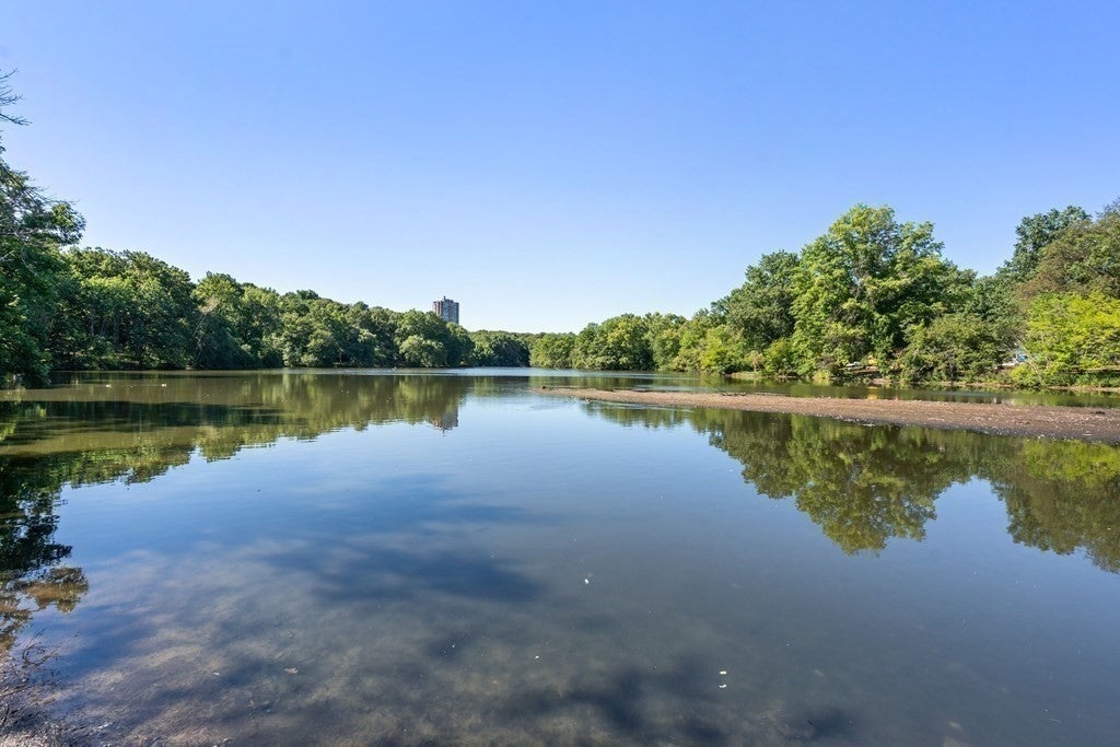 382 Riverway #2, Boston, MA Photo #22
