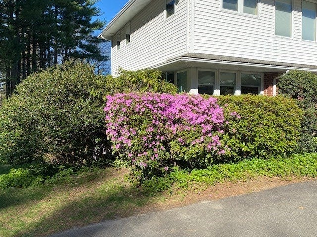 61 Arnold Rd, Pelham, MA, 61 Arnold Rd, Pelham, MA Photo #38