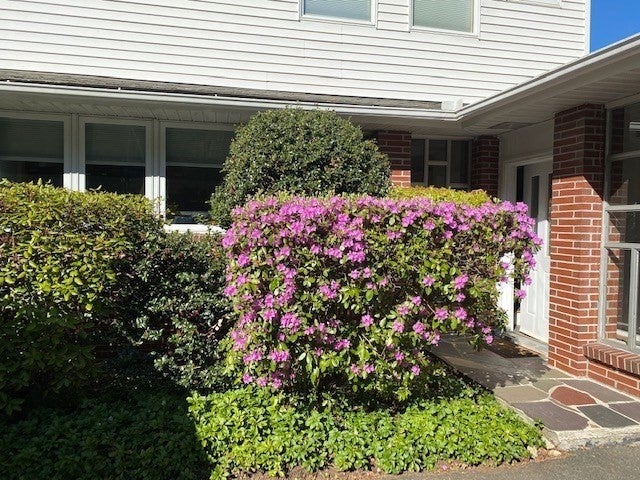 61 Arnold Rd, Pelham, MA, 61 Arnold Rd, Pelham, MA Photo #36