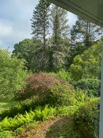 61 Arnold Rd, Pelham, MA, 61 Arnold Rd, Pelham, MA Photo #27