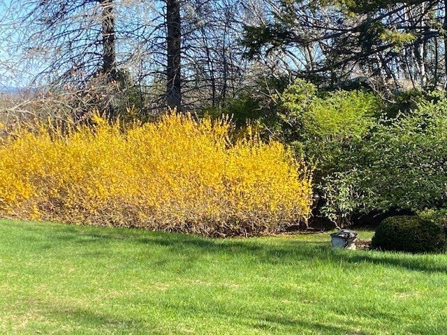 61 Arnold Rd, Pelham, MA, 61 Arnold Rd, Pelham, MA Photo #31