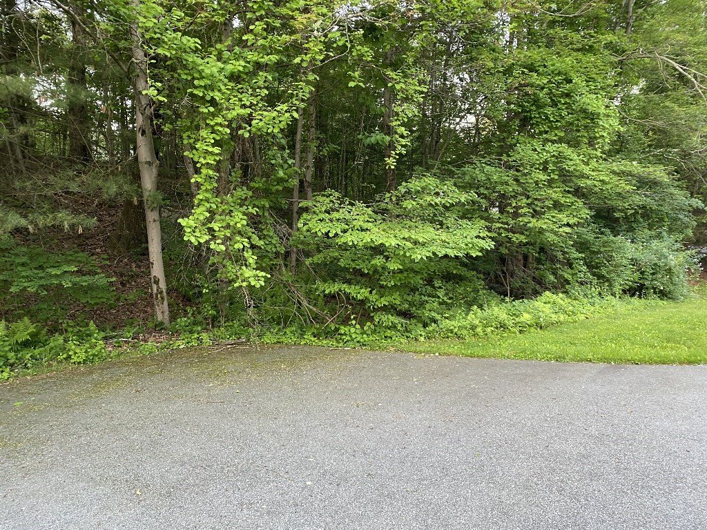 156 Brigham Hill Rd