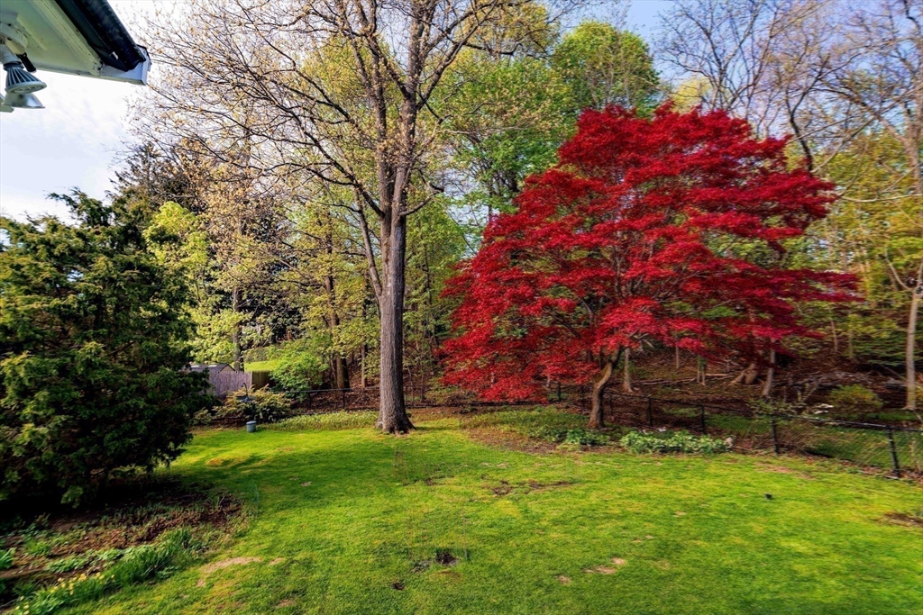 20 Rambler Rd, Boston, MA Photo #27