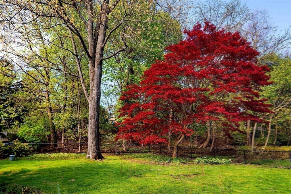 20 Rambler Rd, Boston, MA Photo #28