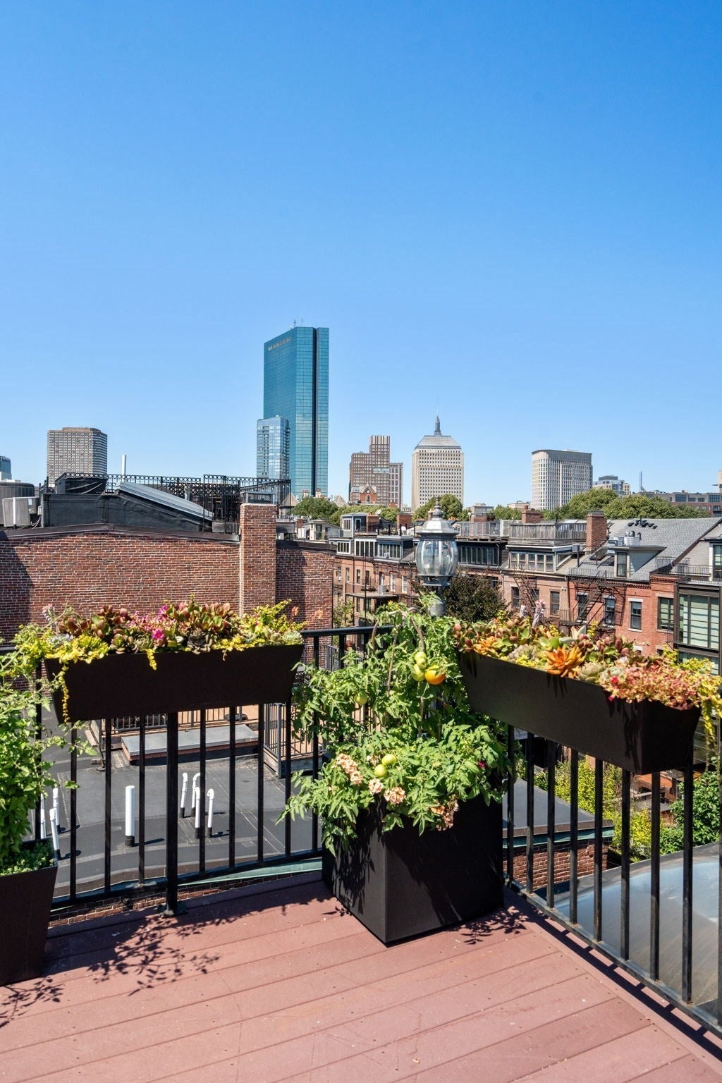 331 Shawmut Ave #4, Boston, MA, 331 Shawmut Ave #4, Boston, MA Photo #21