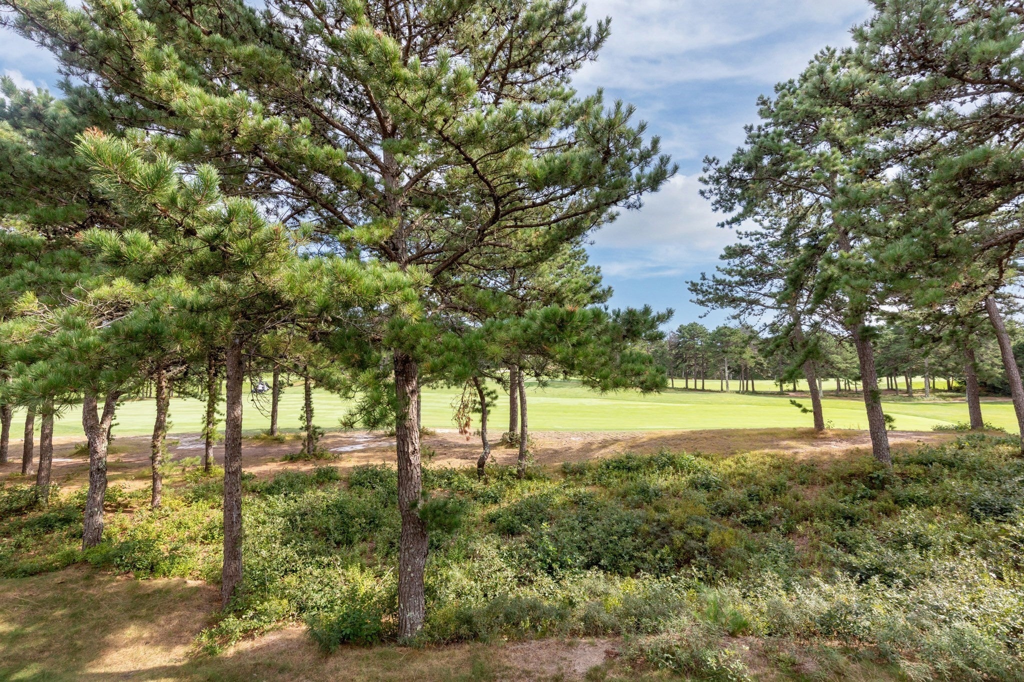 70 Benjamins Gate #70, Plymouth, MA, 70 Benjamins Gate #70, Plymouth, MA Photo #40