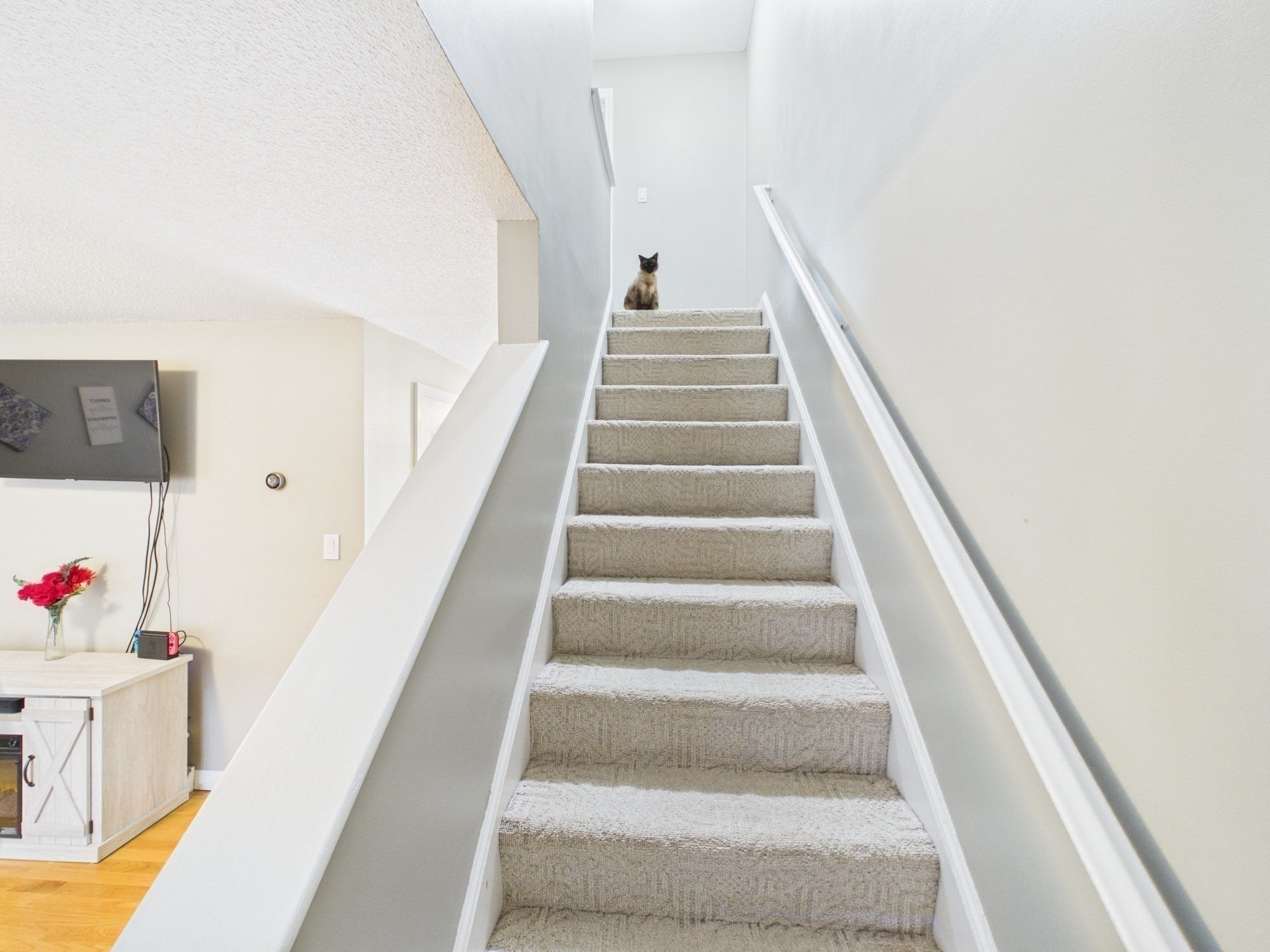 126 Willard Street #I, Lowell, MA Photo #20