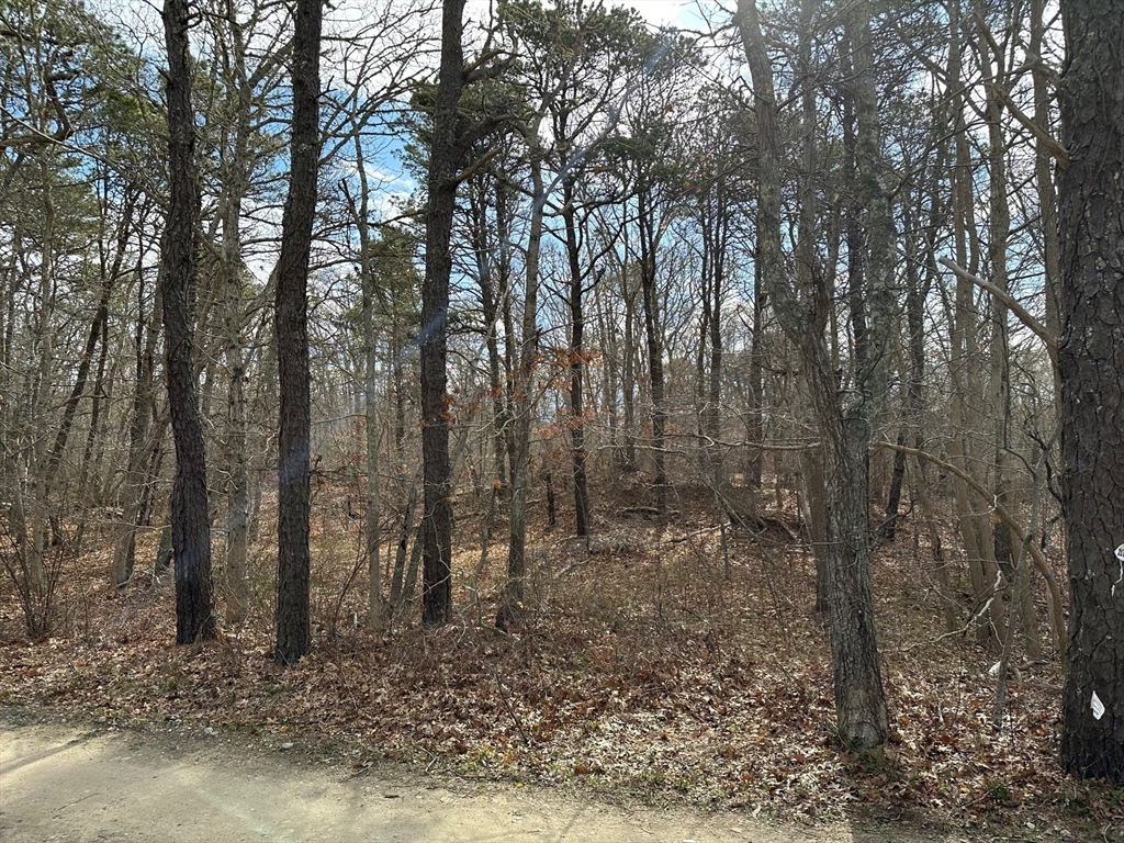 12 Old Campground Road