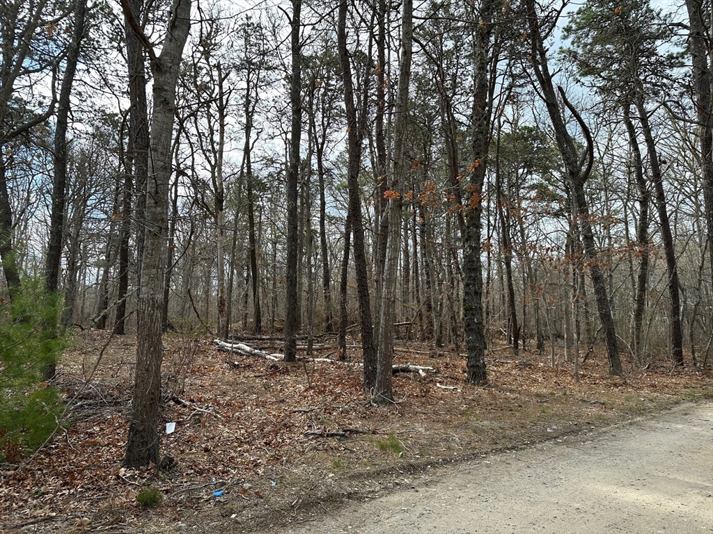 12 Old Campground Road