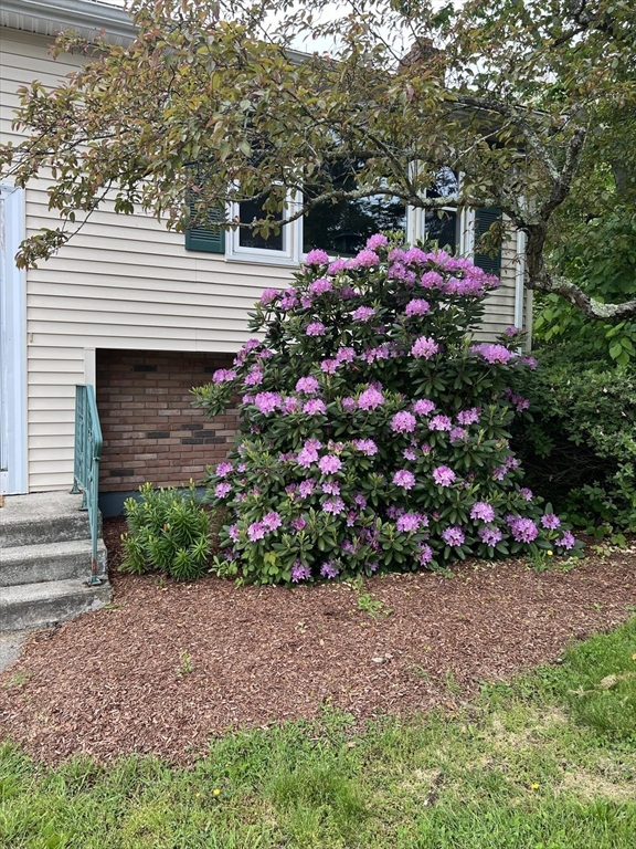 16 Cunniff Ave