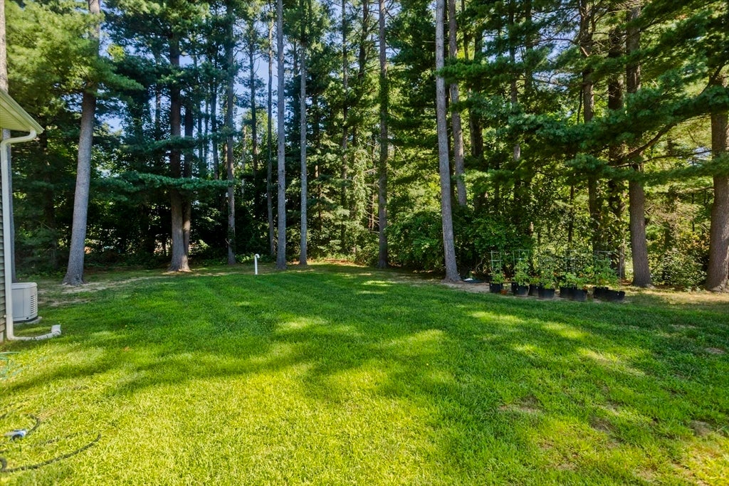 6 Joan St, Wilbraham, MA Photo #42