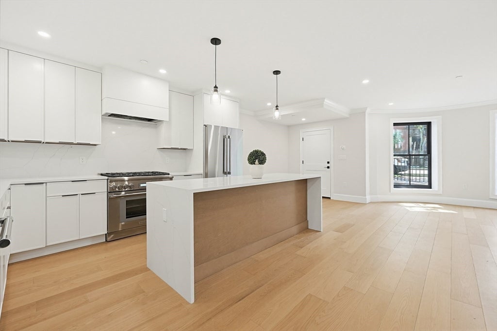 667 Tremont Street #A, Boston, MA, 667 Tremont Street #A, Boston, MA Photo #9