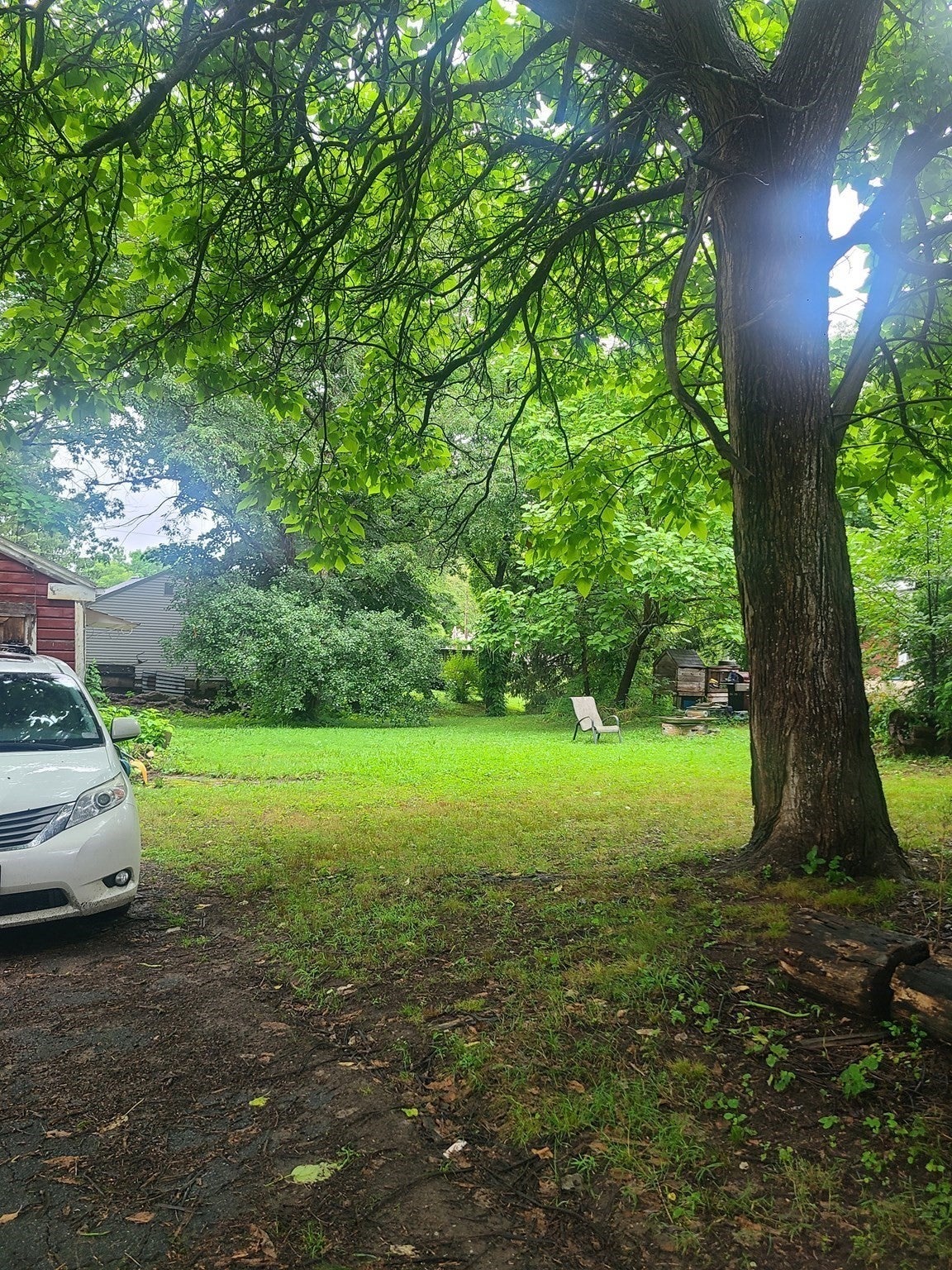 8 White St