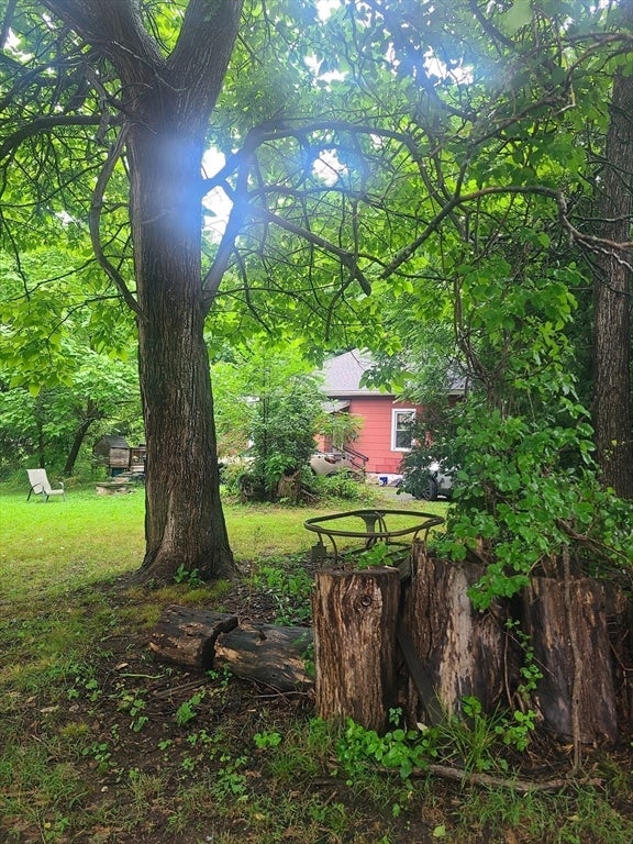 8 White St, Wilbraham, MA, 8 White St, Wilbraham, MA Photo #4