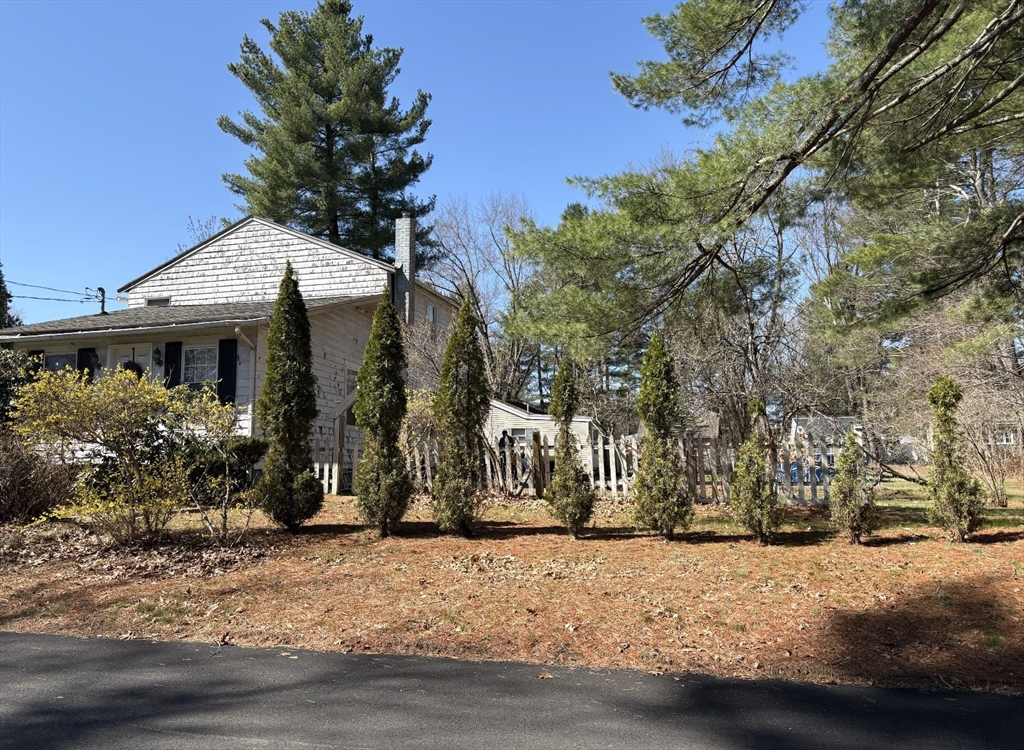 16 Shirley Ave