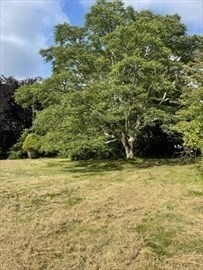 349 Old Fall River Rd