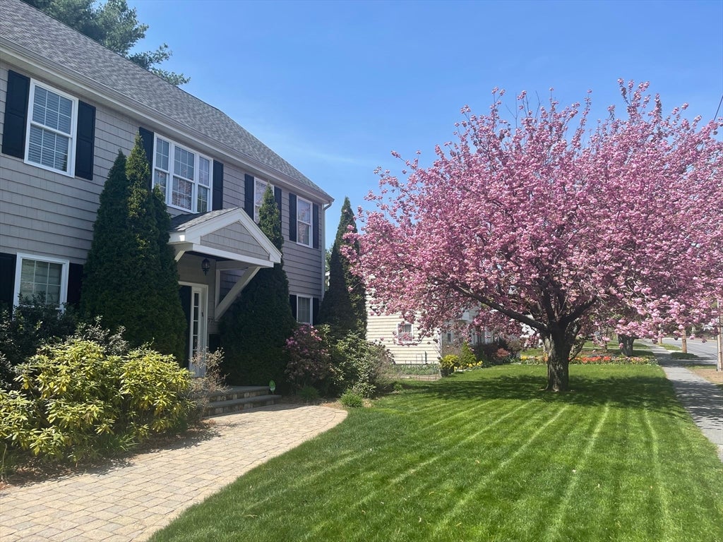 77 Cedar Street