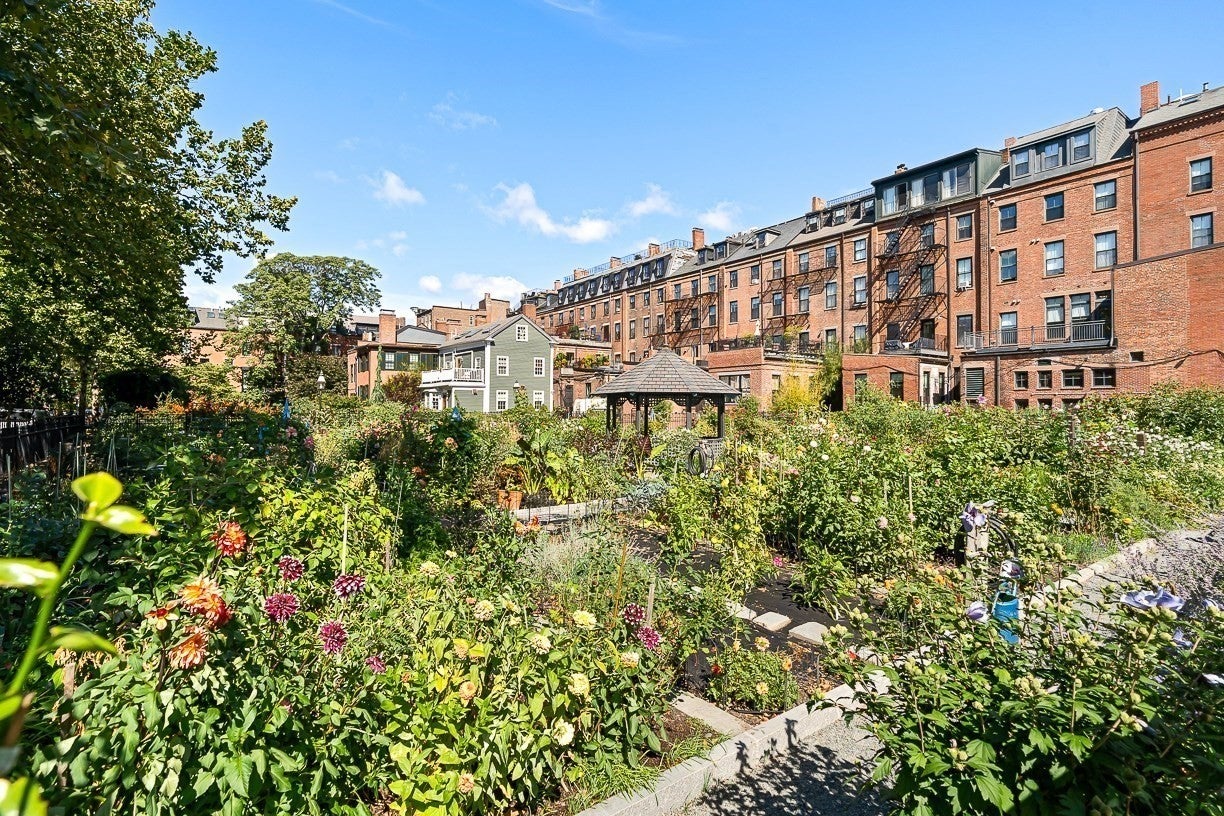 1597 Washington St #408, Boston, MA, 1597 Washington St #408, Boston, MA Photo #29