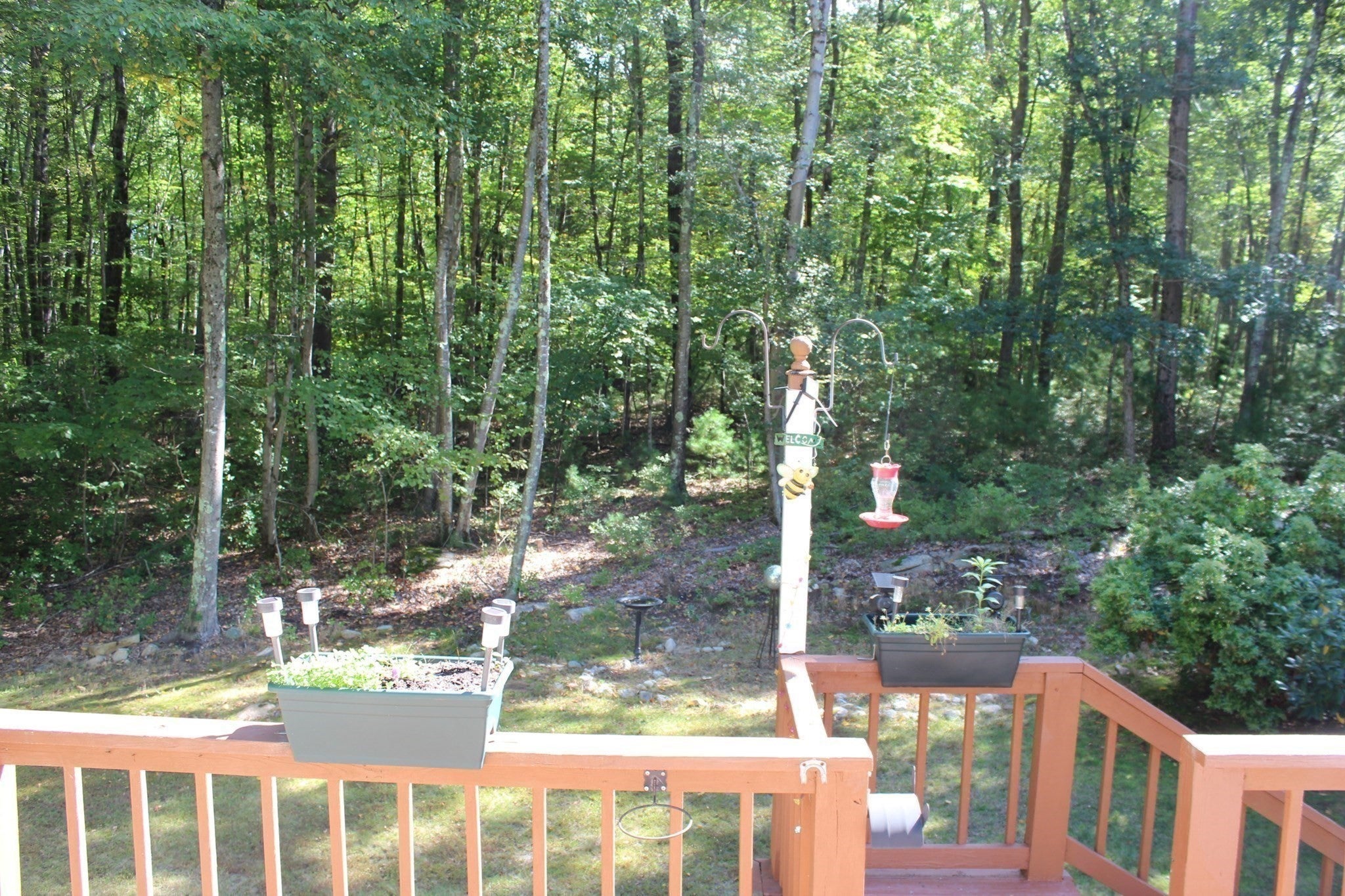 16 Wallum Lake Rd, Douglas, MA, 16 Wallum Lake Rd, Douglas, MA Photo #27