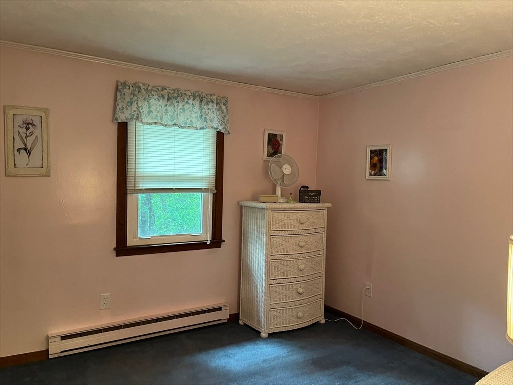 16 Wallum Lake Rd, Douglas, MA Photo #12