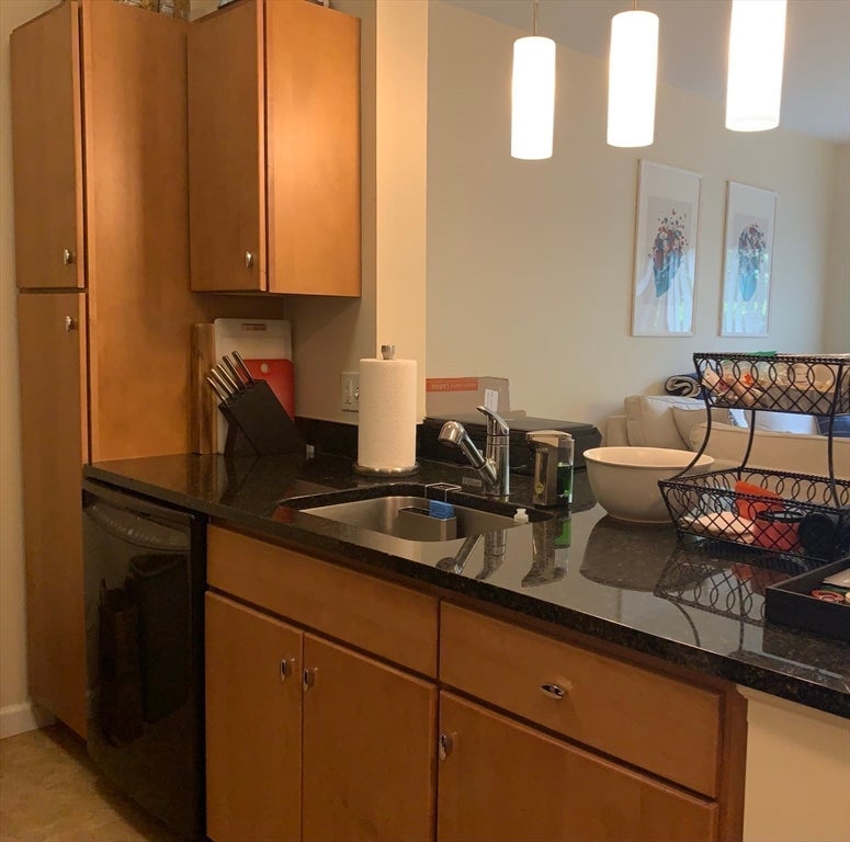 5 Repton Circle #5106, Watertown, MA Photo #5
