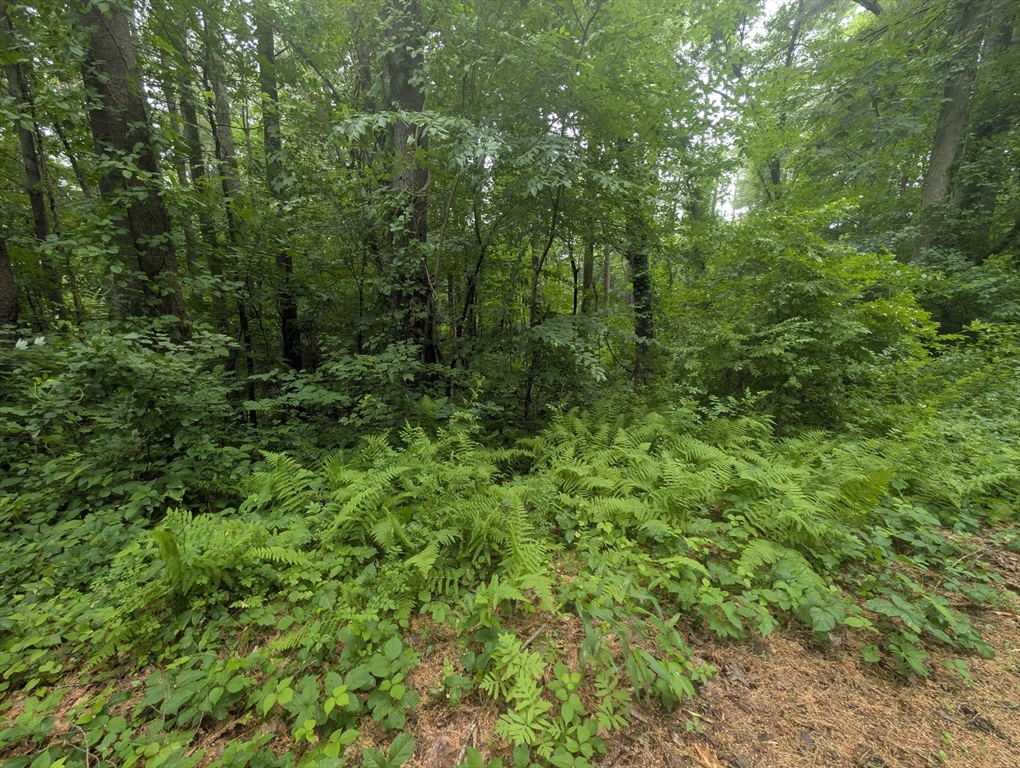 Lot C Baker Pond Rd