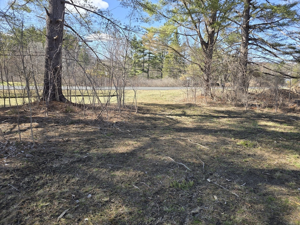 1460 Cold Spring Rd.