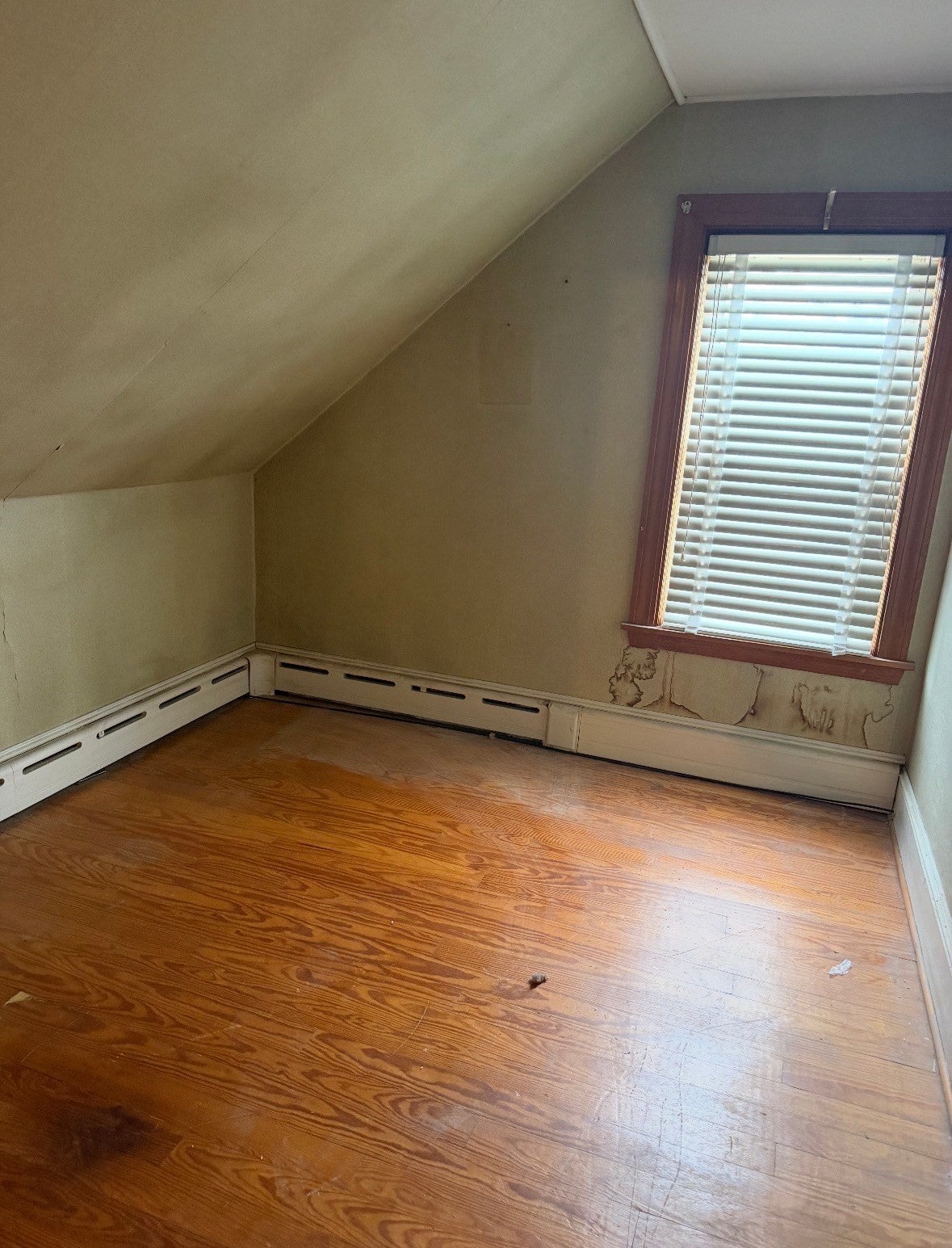 34 Floral St, Taunton, MA, 34 Floral St, Taunton, MA Photo #6