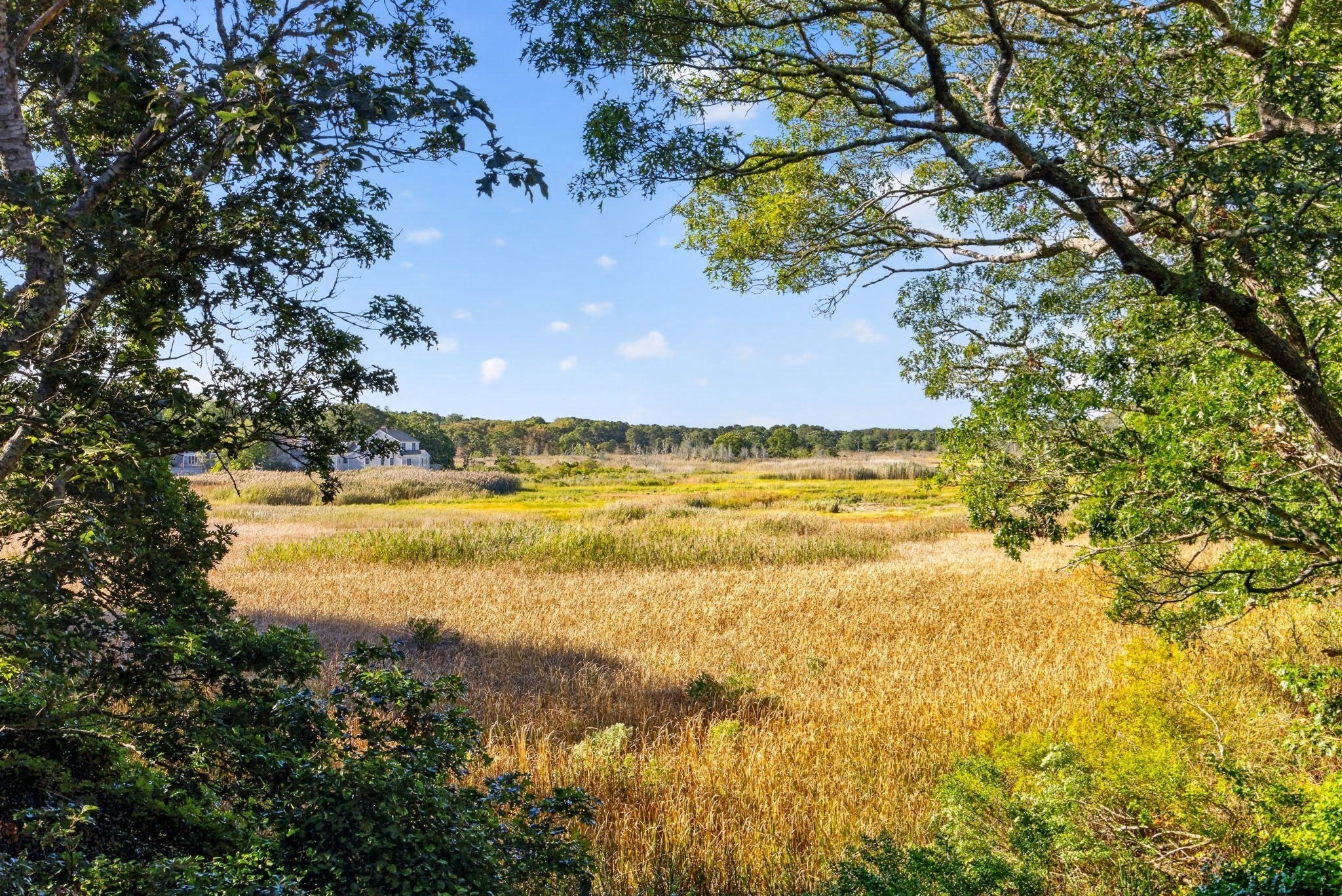 115 Parkington Hill Rd, Wellfleet, MA, 115 Parkington Hill Rd, Wellfleet, MA Photo #29