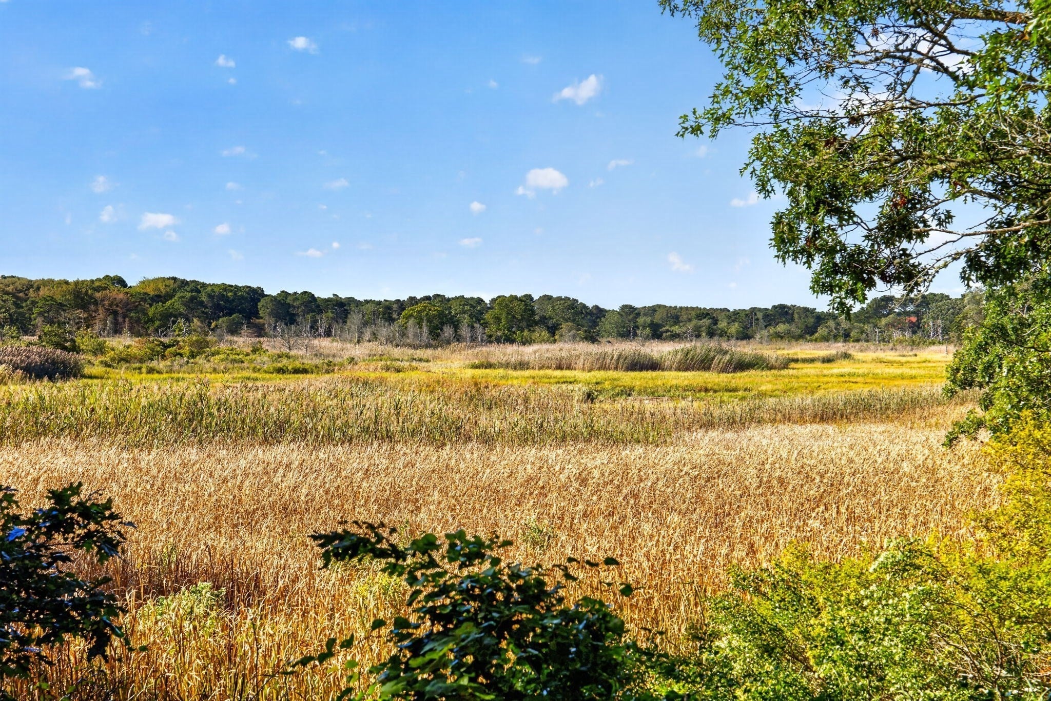 115 Parkington Hill Rd, Wellfleet, MA, 115 Parkington Hill Rd, Wellfleet, MA Photo #28