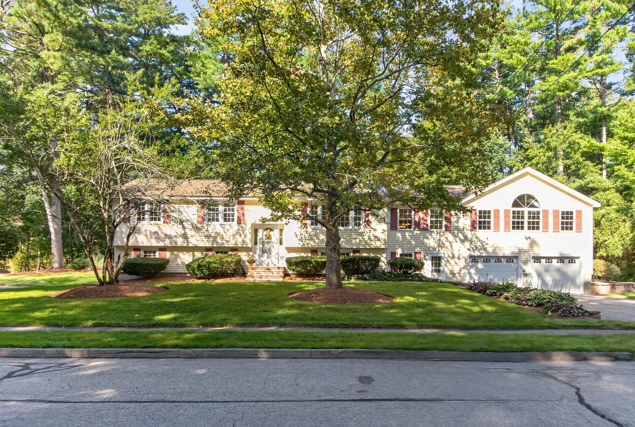 41 Buckingham Drive