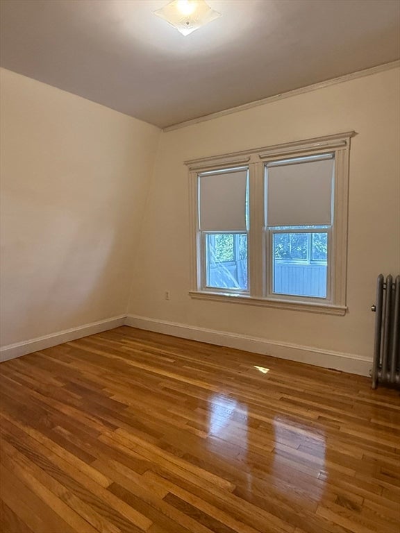 96 Harriet St #96, Boston, MA, 96 Harriet St #96, Boston, MA Photo #12