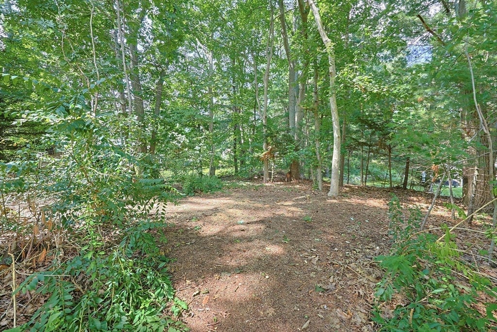 7 Cheryl Dr, Foxboro, MA, 7 Cheryl Dr, Foxboro, MA Photo #39