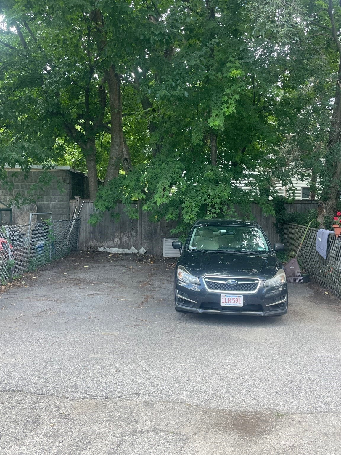 221 Pearl St #2, Cambridge, MA, 221 Pearl St #2, Cambridge, MA Photo #17