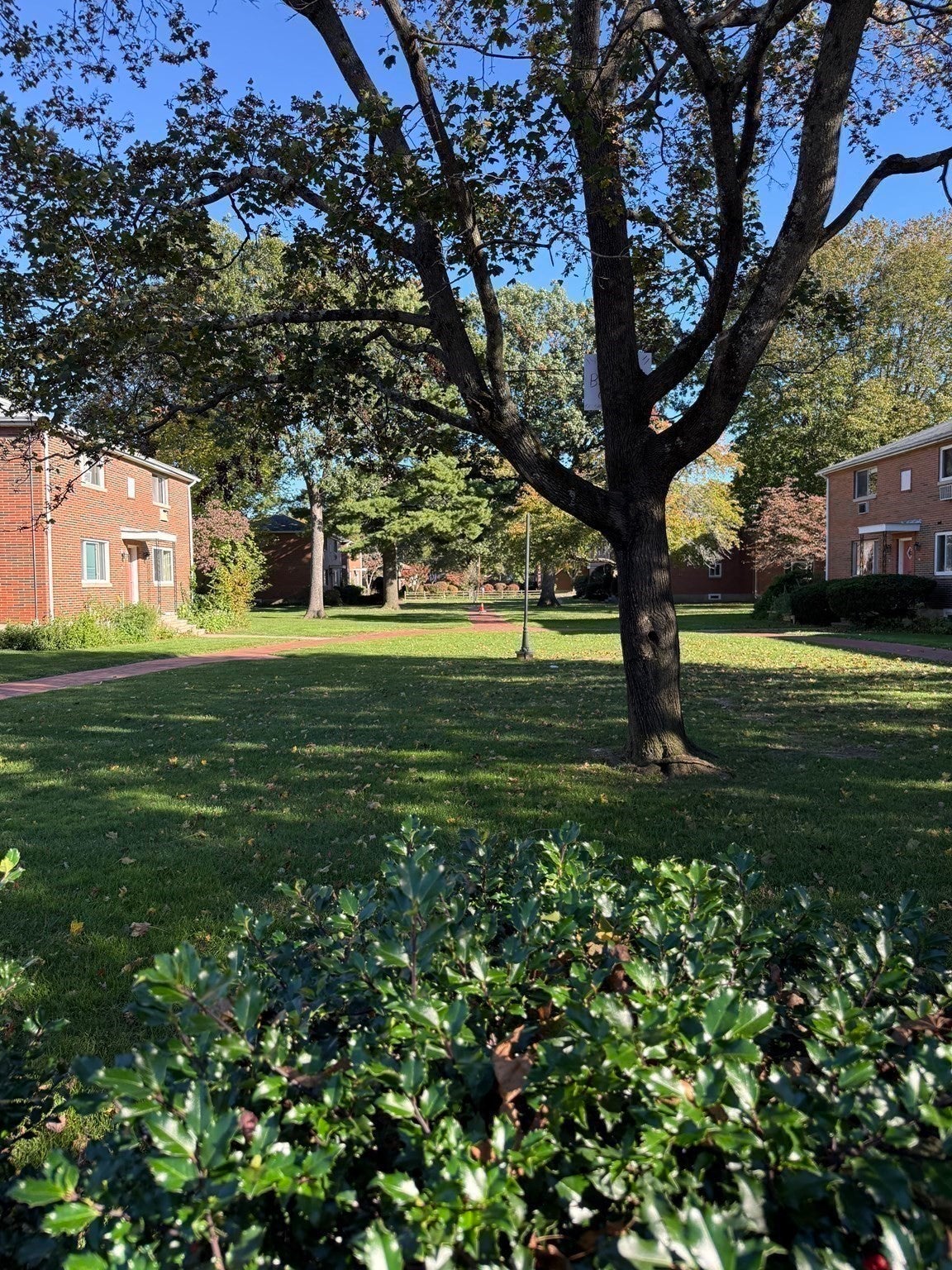 36 Bishop Dr #36, Framingham, MA, 36 Bishop Dr #36, Framingham, MA Photo #20