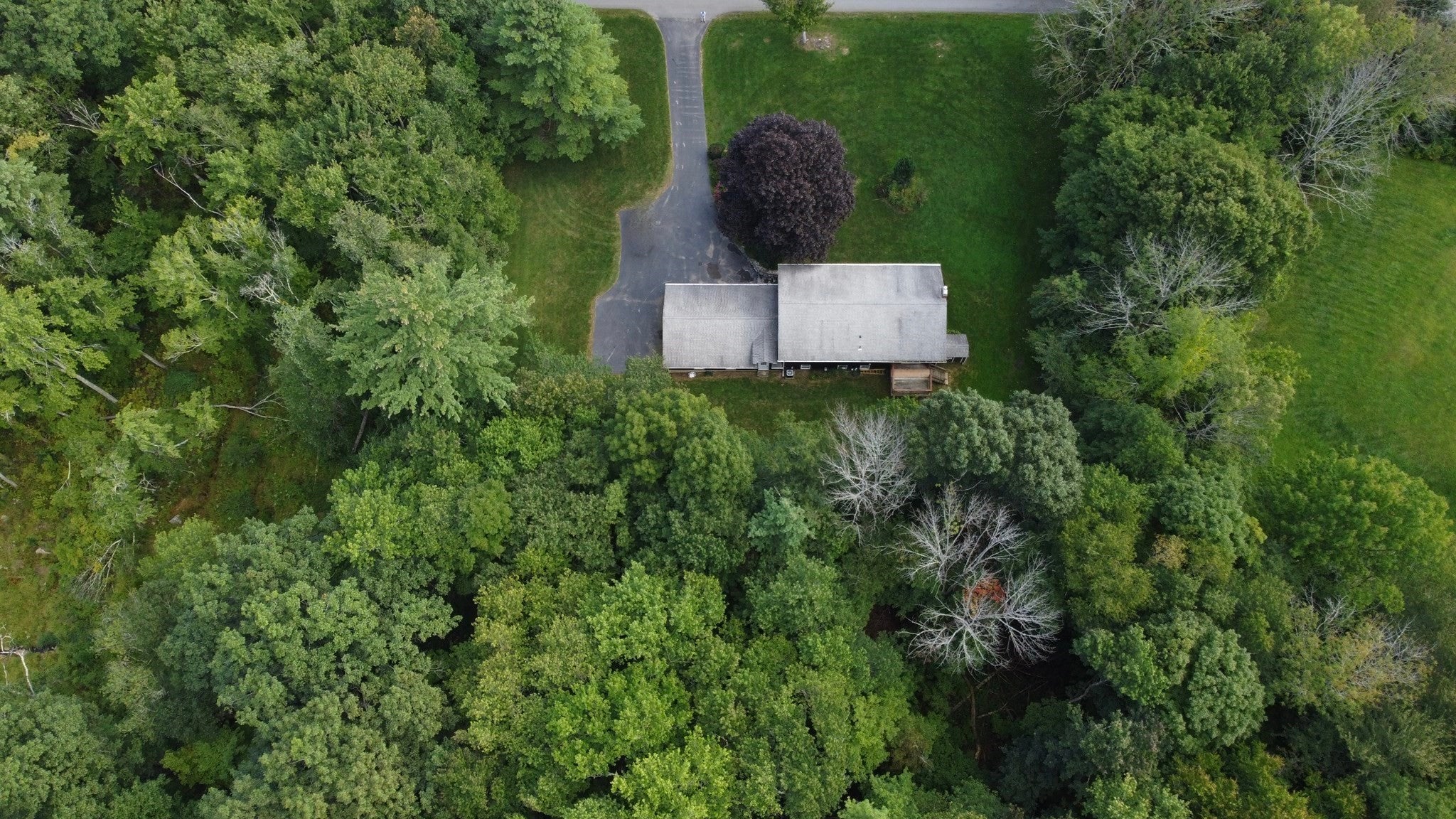 261 Brookfield Rd
