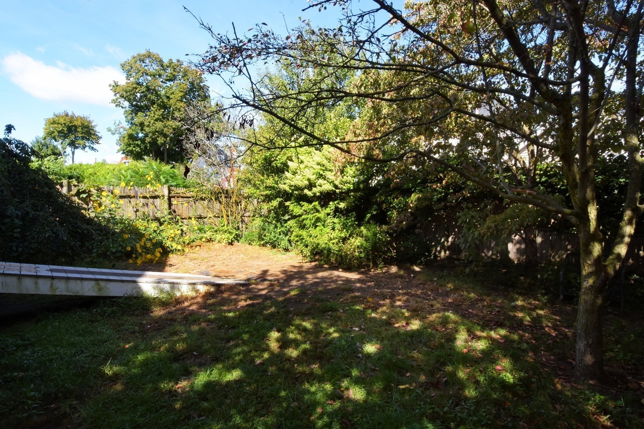 25 Stearns Ave, Medford, MA, 25 Stearns Ave, Medford, MA Photo #29