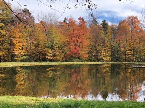 0 Gentian Hollow Rd Becket MA 01223