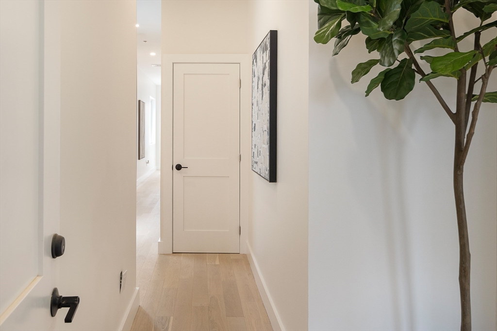 28 Swan Ave #1, Boston, MA Photo #23