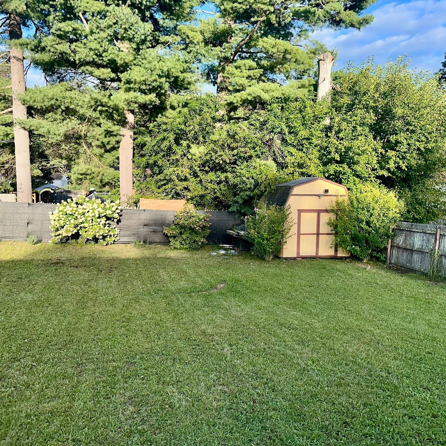 47 Thyme Ln, Springfield, MA Photo #22